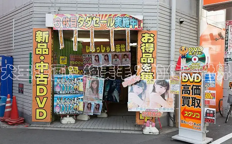 漫蛙manwa2官方入口免费